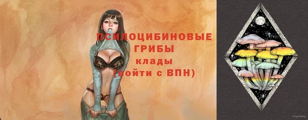 спиды Алексин