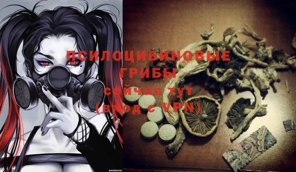 спиды Алексин