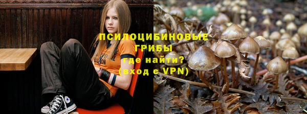 спиды Алексин